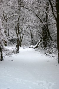 Snow in Farley Hill, Luton