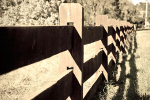 Fence in Gisborne South - Antique Light version