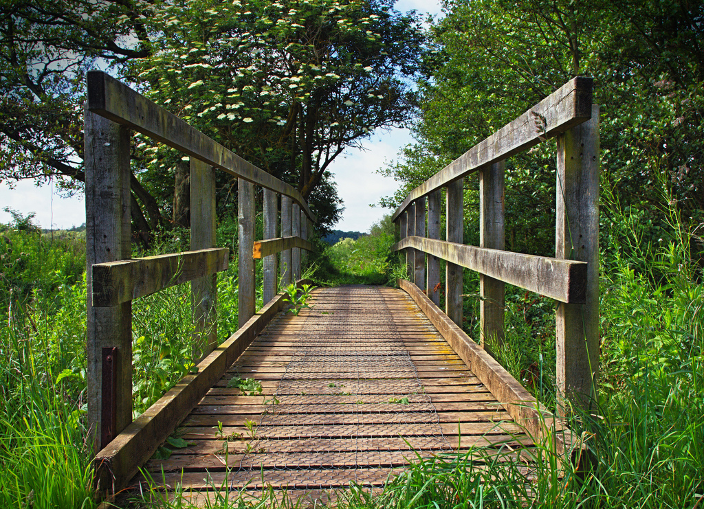 1 point perspective photography bridge